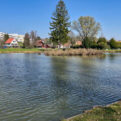 96233365-2636-43DC-94A0-9932856A7572-22244-0000050E6A7C0C5A